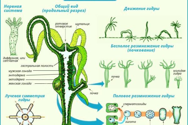 Как вернуть профиль в кракене